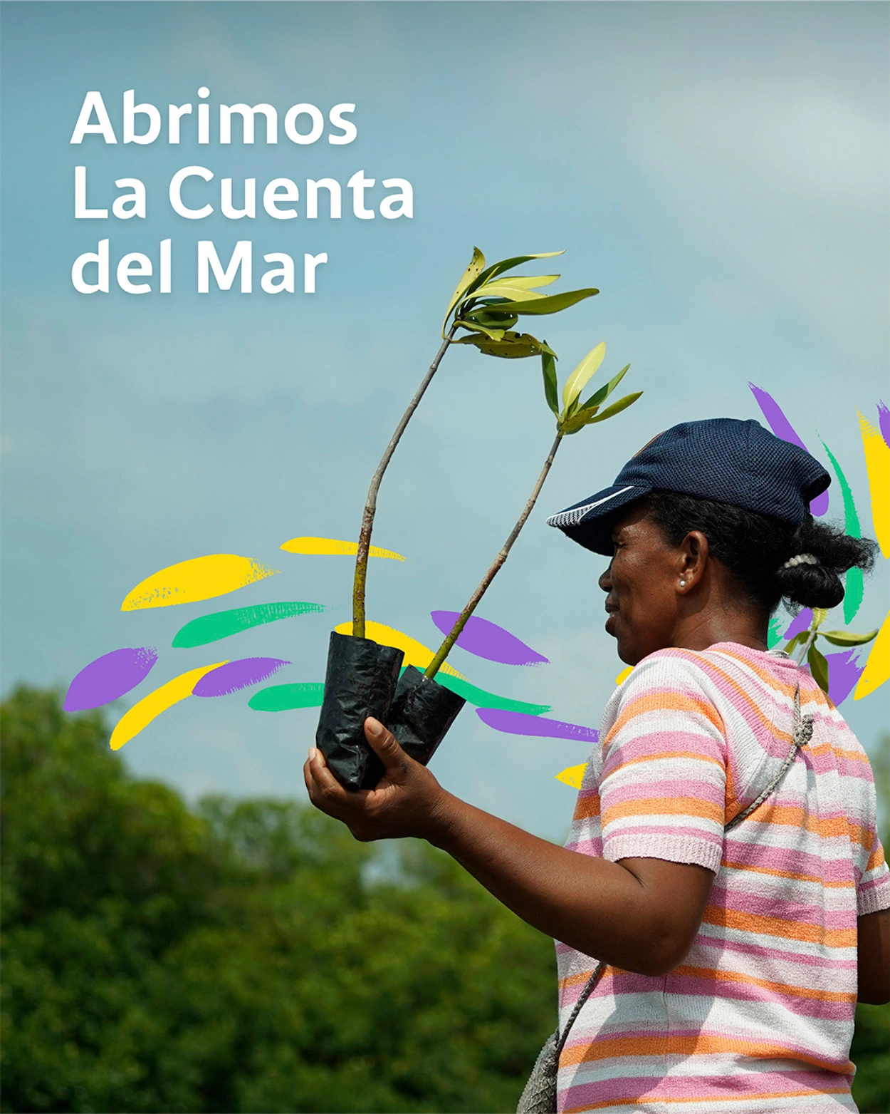 La Cuenta Del Mar layout La Cuenta Del Mar layout