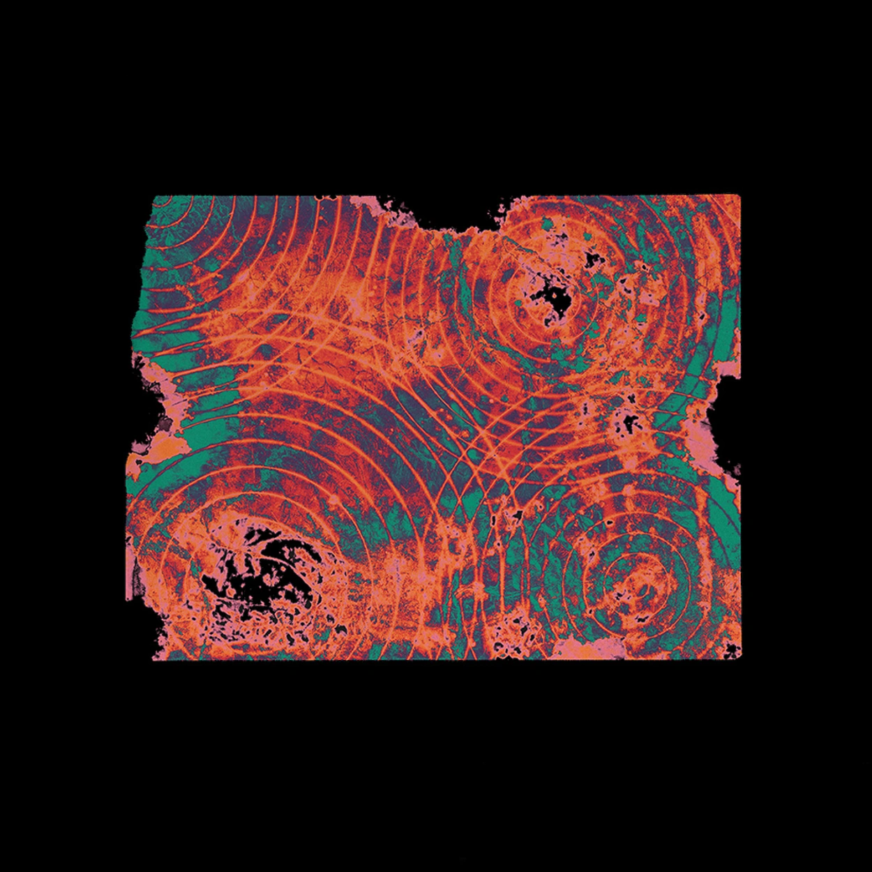 The Global Illicit Economy Report The Global Illicit Economy Report